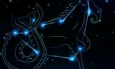 天秤座和摩羯座性格合得来吗(狮子座和摩羯座合得来吗)