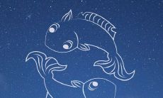 和双鱼座男生网恋(射手座适合网恋吗)