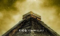 天蝎座喜欢什么女孩的表现(天蝎座女孩喜欢什么东西)