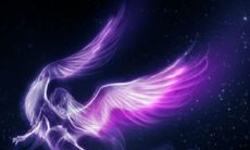 处女座男生在意一个人(处座男对有好感的女生)