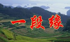 五百年轮回换来一段缘(几百年的轮回换来今生的相遇)