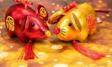 属鼠是96年吗(1996年属鼠女和什么属相最配)