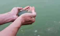 周公解梦梦见坐马车停在混水里(手相婚姻线乱)