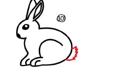 兔跟什么属相配最好(属兔的生肖配什么生肖好)