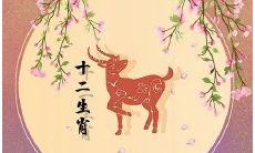 2023年属羊人的全年运势1991年出生女(91年属羊今年运势)