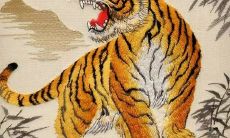 属虎人干什么发财(74年属虎人贵人在哪里)