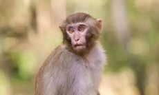 92属猴的运势今天(属鼠今日运势)