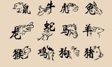 属鼠人的本命年(1967年属鼠的本命年是哪一年)