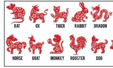 42岁属什么生肖婚配(72年属鼠的婚配表)