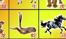 十二生肖的属性和特点(十二生肖最全属性表图)