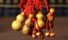 选择钱包和财运的关系(属龙人钱包颜色与财运)