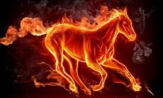 属马的人2023年是多少岁(属马2023年运势大全)