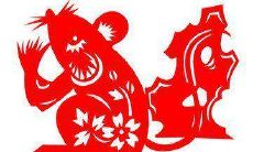 属鼠的农历八月出生的命运(农历八月出生人的命运)