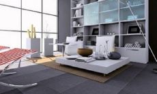 孔雀竹芋的风水作用(十种旺财又旺宅的植物)