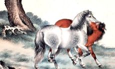 属马的是六几年生(1929年属什么生肖属相)