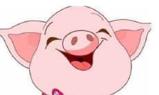 属猪人生于十二月(属猪人最苦命出生时辰)