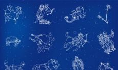 星座十二宫查询软件(我是什么星座怎么查询)