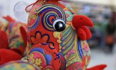 1981年农历10月属鸡的是什么命(1981属鸡人鼠年运程)