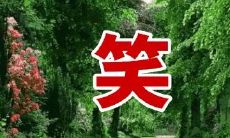 北京有哪些地方拜太岁(哪里拜太岁最灵验)