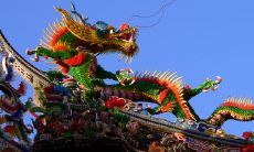 龙和蛇属相怎么区分(属蛇与属龙相结合怎么样)