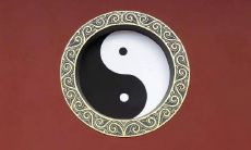 日柱有华盖金舆(日柱带华盖的男命)