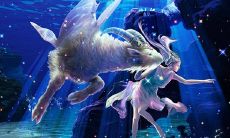 摩羯座的男人是什么性格特征(金牛座的男人是什么性格)