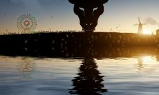 摩羯座和魔蝎座有什么区别(为什么说摩羯座可怕)