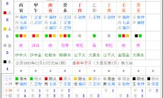紫微斗数流月排盘方法(紫微斗数排盘方法步骤)