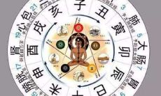 五脏六腑对应的五行时间(五脏六腑对应的五行五色)