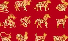 2002属马年龄查询表(属马年龄表对应岁数)