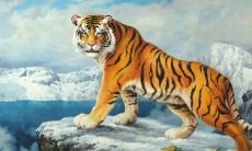 属羊男人脾气暴躁吗(属羊的男人是不是很阴险)