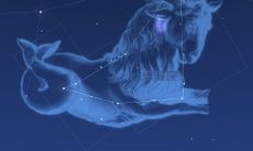 摩羯座男生和谁最配(12星座性格分析优缺点大全)