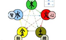 月在五行中属什么(五行属水的字大全)