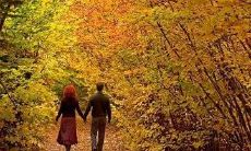 八字分析性格(看八字基本步骤图)