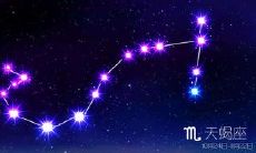 天蝎座男生为什么不主动联系我(天蝎男对有好感的人态度)