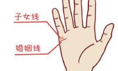 手相女看子女线(智慧线非常下垂的手相)