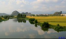 狮子形风水地(狮子风水宝地出什么人)