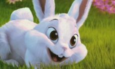 属兔的今年用什么颜色比较好(2023年属兔人穿什么颜色最旺)