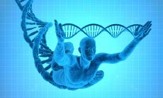 孩子的面相遗传(没有子嗣的面相)