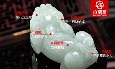 属兔适合佩戴什么瑞兽(属兔的人虎年佩戴什么)