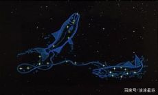 处女座的软肋是爱情(摩羯座是金牛座的软肋)