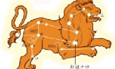 狮子座主星轩辕十四度数(狮子座是第几宫)