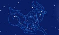 摩羯座不合群吗(摩羯不合适的星座)