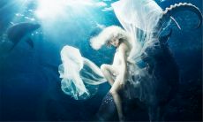 阳历6月28号出生是什么星座(6月是什么星座)