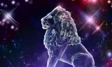 属猴狮子座男生性格(属猴狮子座男性格长相)