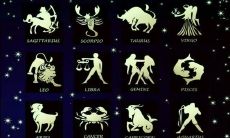 八月出生处女座运势(八月出生什么星座查询)