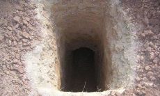 紫微斗数凶星入庙(紫微斗数凤阁)