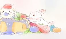 五月属兔的人(属兔人生于五月)