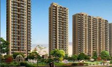 属蛇今年适合买房吗(属蛇人买房住几层楼最好)