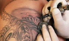 属虎的纹虎头可以吗(属虎的身上纹老虎好不好)